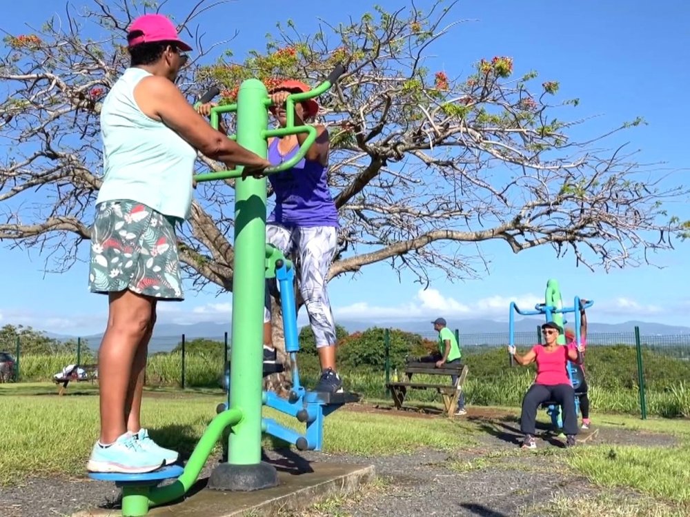 Les Parcours Sportifs de Santé Sécurisés (P3S) - Planning d'intervention